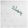 Almohada Latex Eucalipto para funda  50cm x 70cm