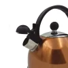 1 Tetera De Acero Inoxidable Capri 2,5 L Cobre